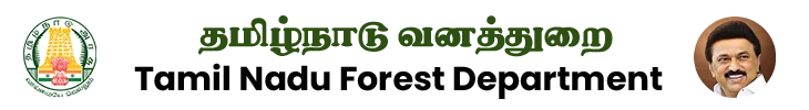 TN Forest